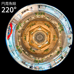 特徴1