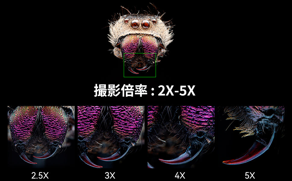 作例1