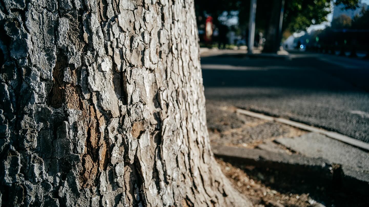 AstrHori 14mm F4.5 APS-C 単焦点レンズ