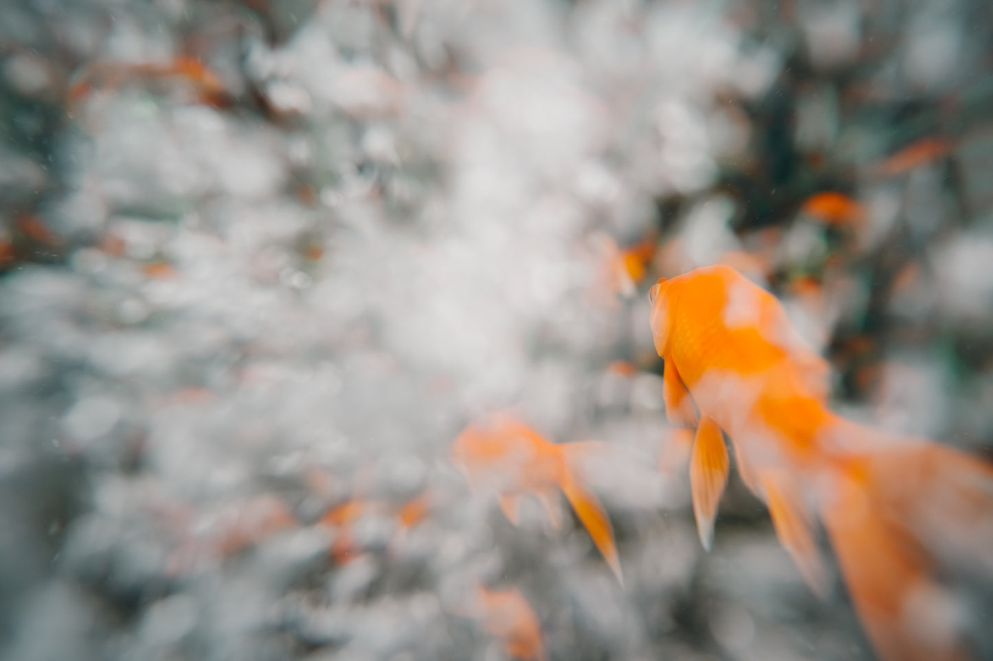 Thypoch Simera 21mm f/1.4 ASPH.