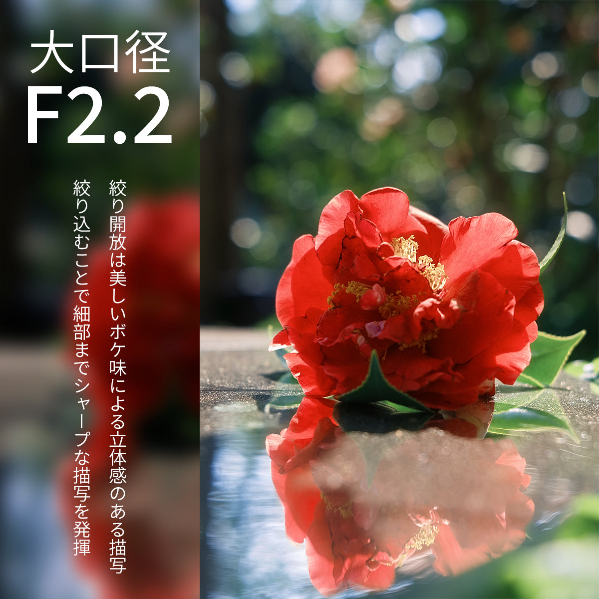 SG-image AF 35mm F2.2