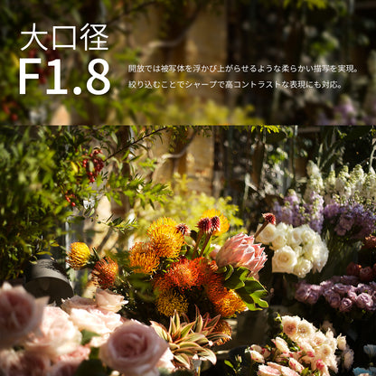 MR.DING Pactcron 35mm F1.8 ブラック ライカMマウント