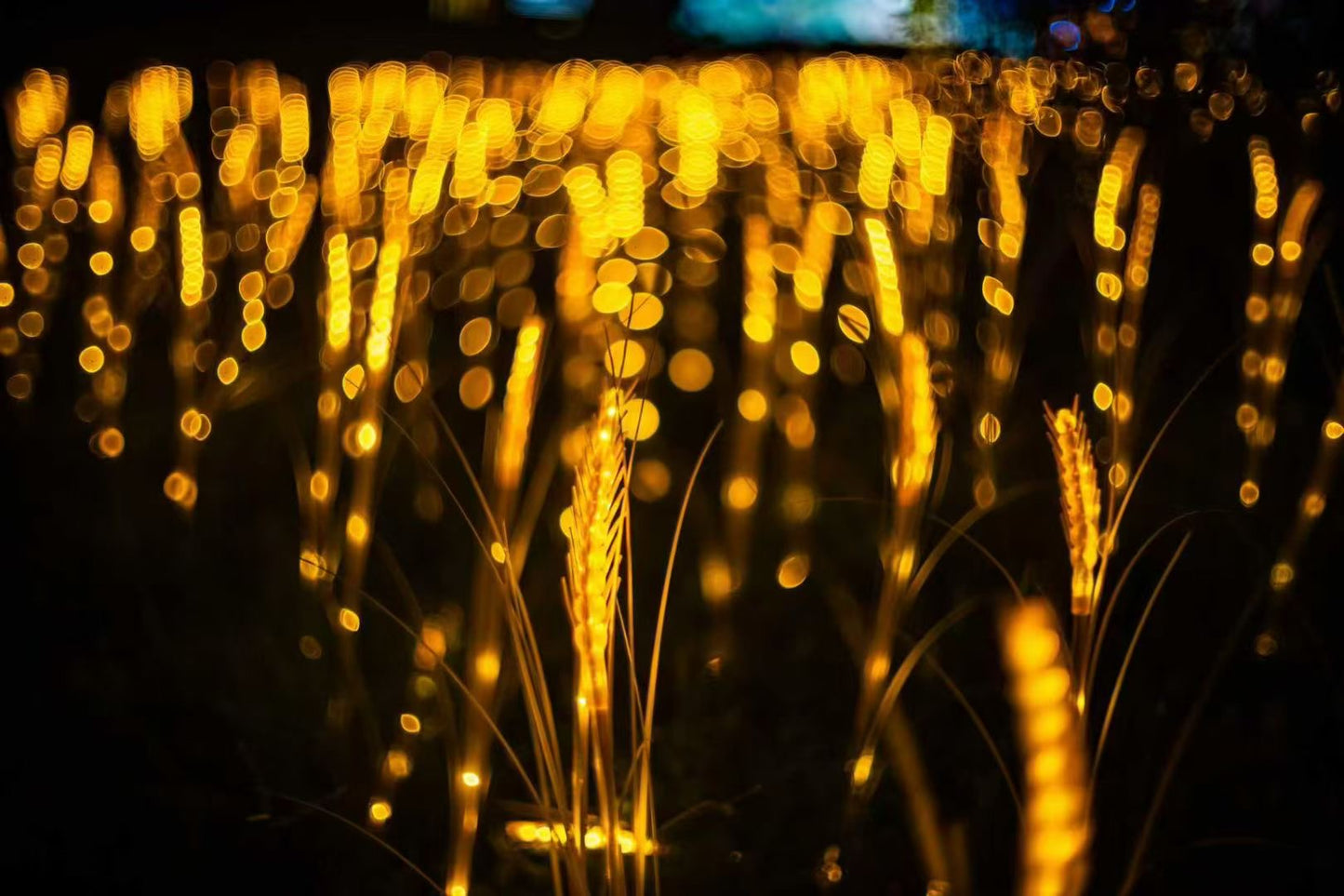 【Pre-order】鏡頭環保師 SUPER CINE RETRO 50mm F1.5 Type S5 / Ekton Limited