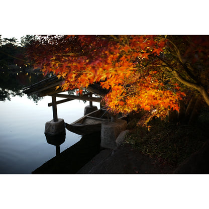 Thypoch Eureka 28mm f/2.8 ASPH. Leica M-mount