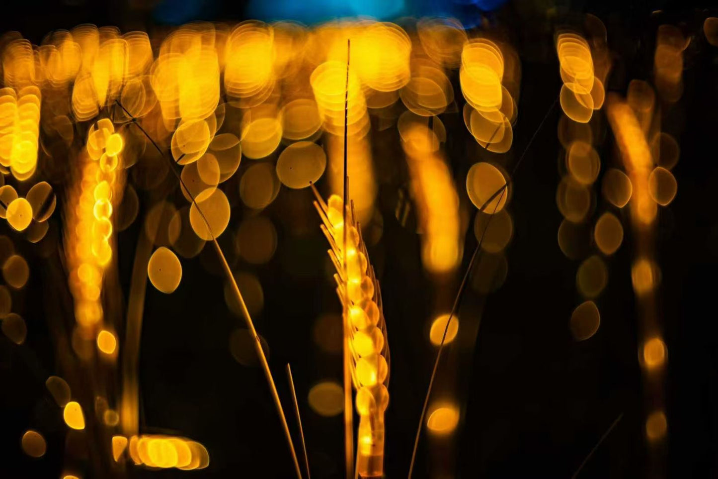 【Pre-order】鏡頭環保師 SUPER CINE RETRO 50mm F1.5 Type S5 / Ekton Limited