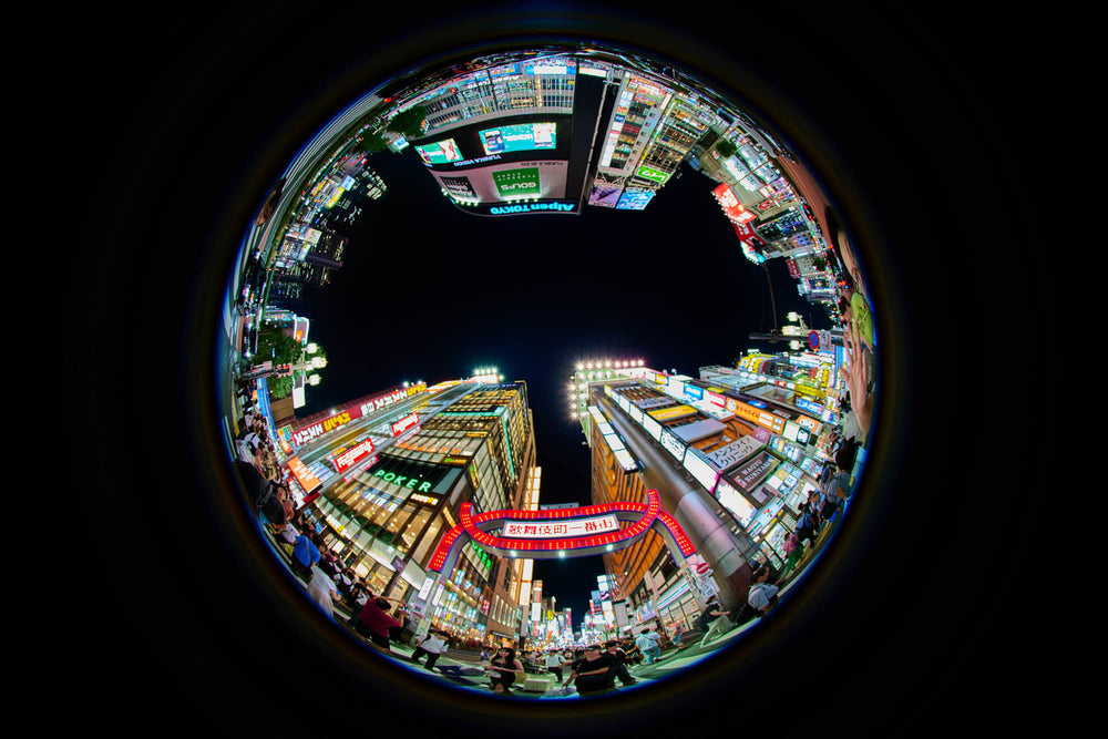 Photo by 矢沢隆則