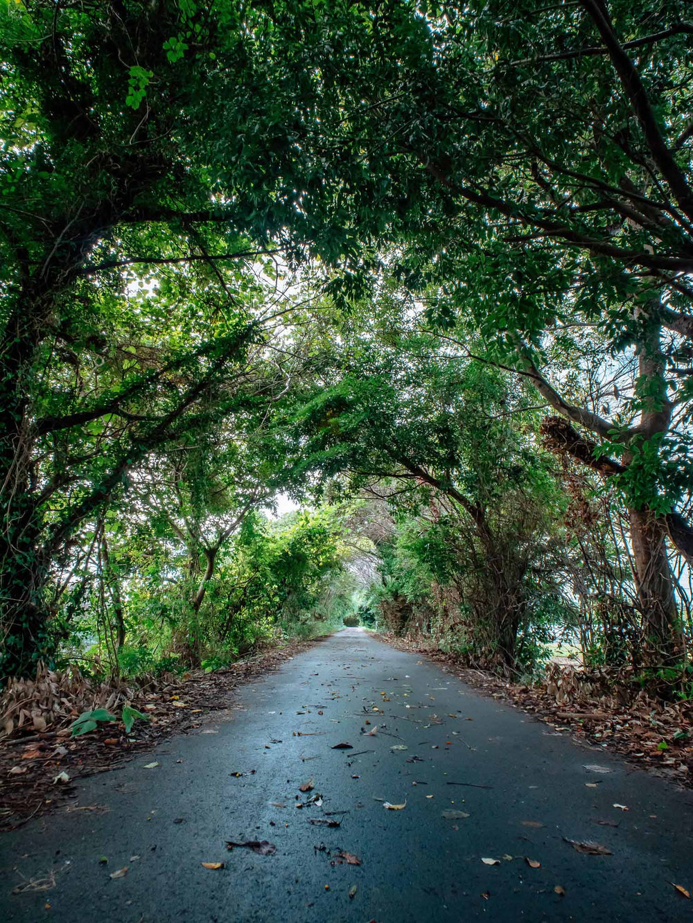 Photo by Fu-> | Image & Creation