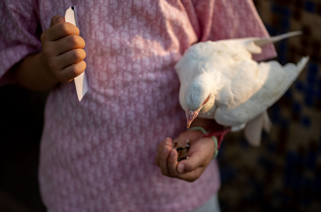 Thypoch Simera 50mm f/1.4 ASPH.